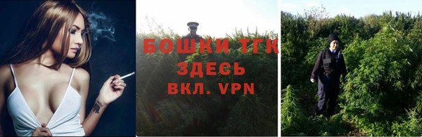 индика Дедовск