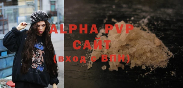 стафф Осташков