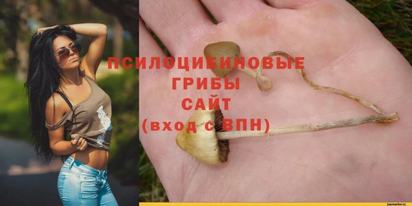 МДПВ Данков