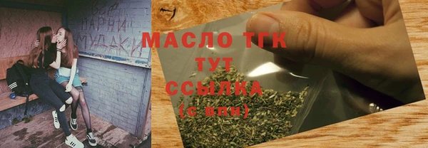 индика Дедовск