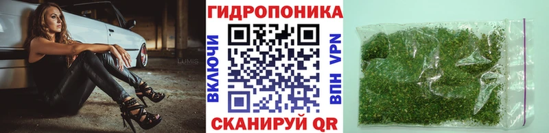 Марихуана Amnesia  Суворов 